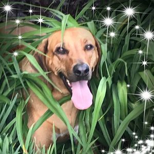 Meet your Posher, Diane